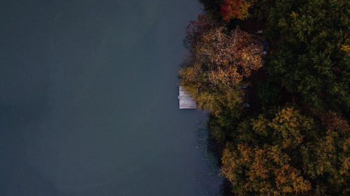 High angle view of plants by trees against sky