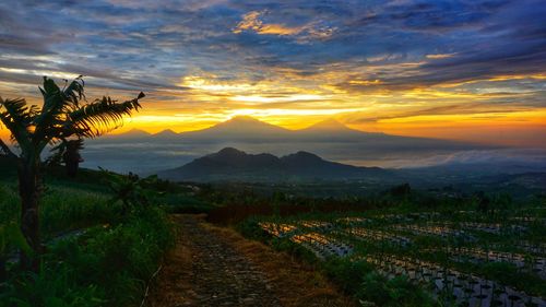 Scenic view of landscape against sky during sunset