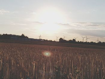Scenic view of agricultural field against sky during sunset