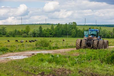 Scenic view of agricultural field