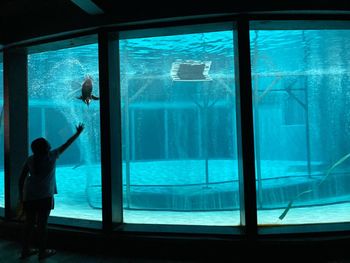 View of fish swimming in aquarium