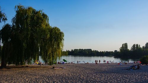 People on beach against sky