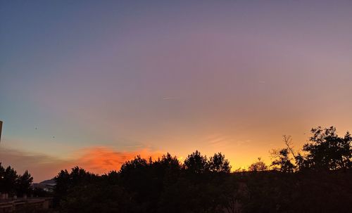 Silhouette trees against sky during sunset