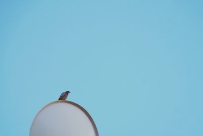 Low angle view of man against clear blue sky