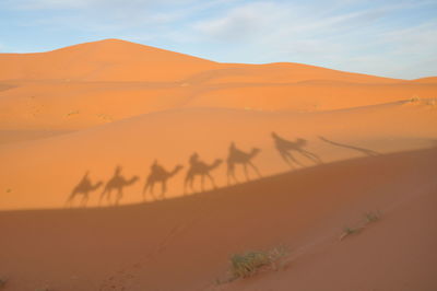 Scenic view of sand dunes in desert against sky