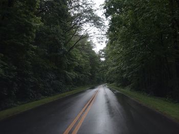 Empty road amidst trees in forest