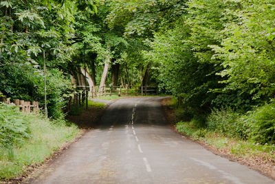 Road amidst trees in forest