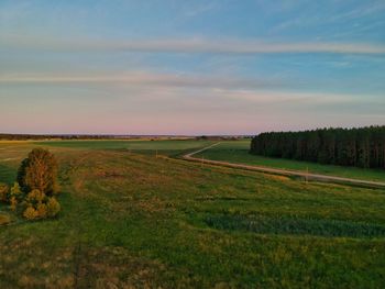 Scenic view of field against sky