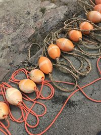 High angle view of tomatoes and fishing net