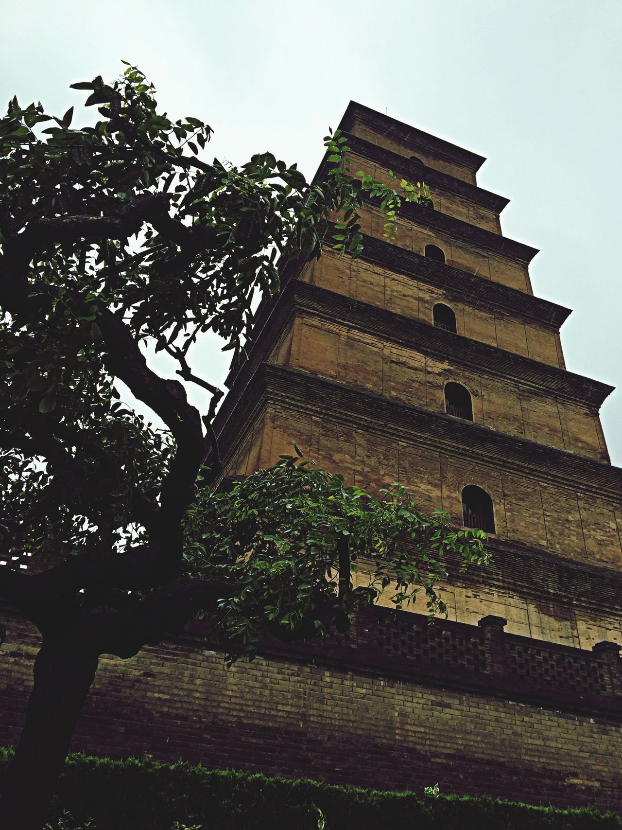 大雁塔 Big Wild Goose Pagoda