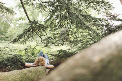 Woman lying on tree root