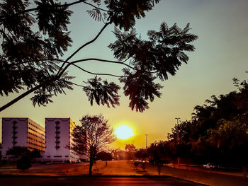 Silhouette trees by road against sky during sunset in city