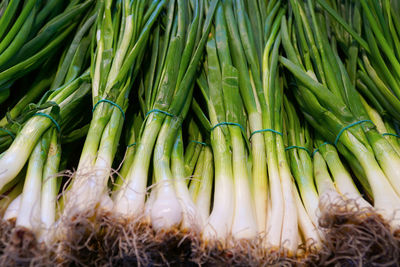Full frame shot of food