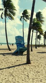 Trees on beach against sky
