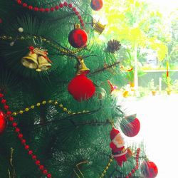 Close-up of christmas tree against sky