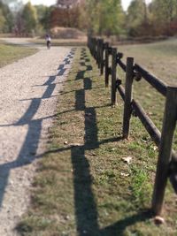 Footpath in park