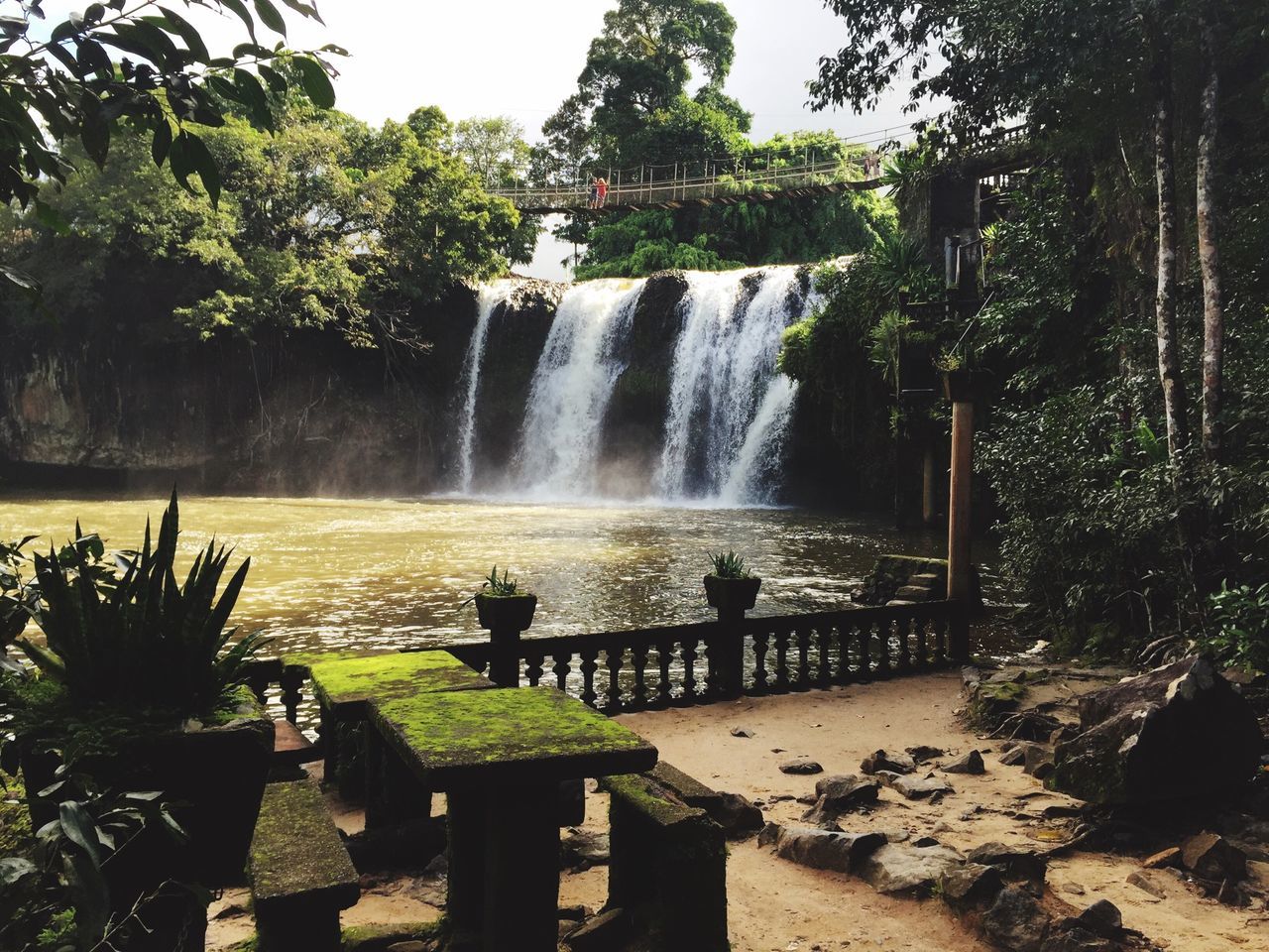 water, tree, fountain, park - man made space, motion, nature, flowing water, beauty in nature, waterfall, scenics, plant, growth, rock - object, tranquility, day, splashing, sunlight, spraying, flowing, outdoors