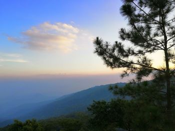 Scenic view of landscape against sky during sunset