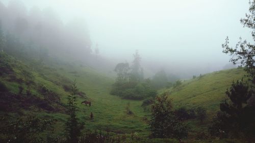 Scenic view of landscape against clear sky