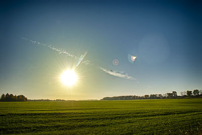 Scenic view of field against bright sun