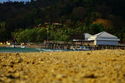 Scenic view of beach against trees