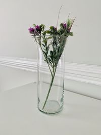 Flower vase on table against white background