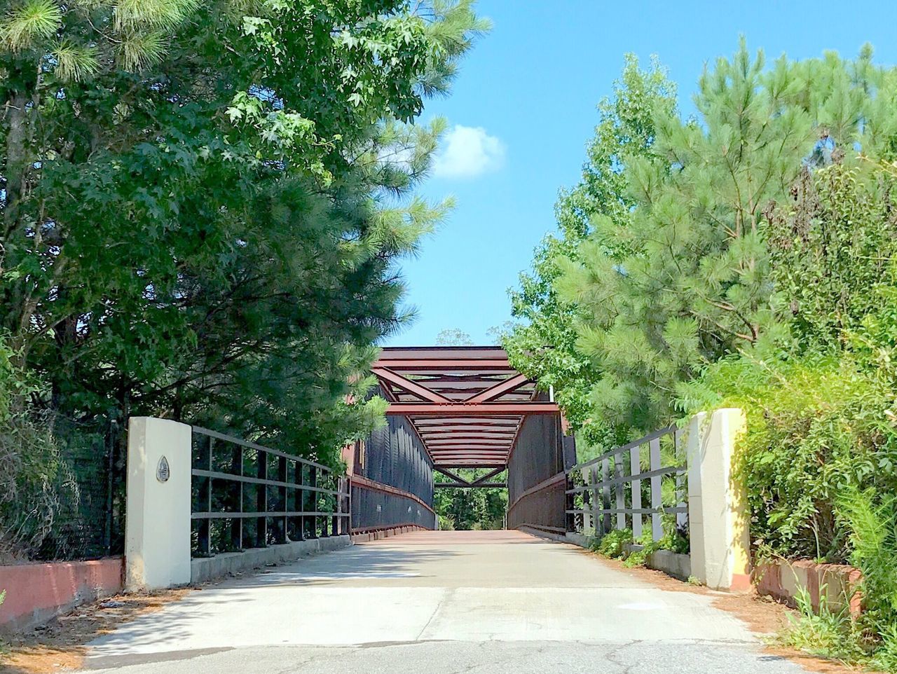 tree, day, architecture, no people, built structure, sky, outdoors, building exterior, nature