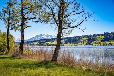 Scenic view of lake by field against sky