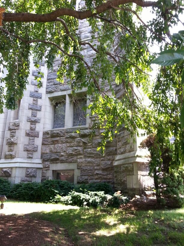 building exterior, tree, architecture, built structure, growth, branch, plant, sunlight, day, house, tree trunk, building, outdoors, green color, nature, shadow, facade, residential building, low angle view, window