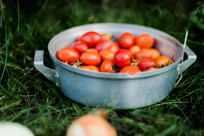 High angle view of fruits in container on field