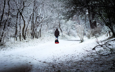 Rear view of person on snow covered land