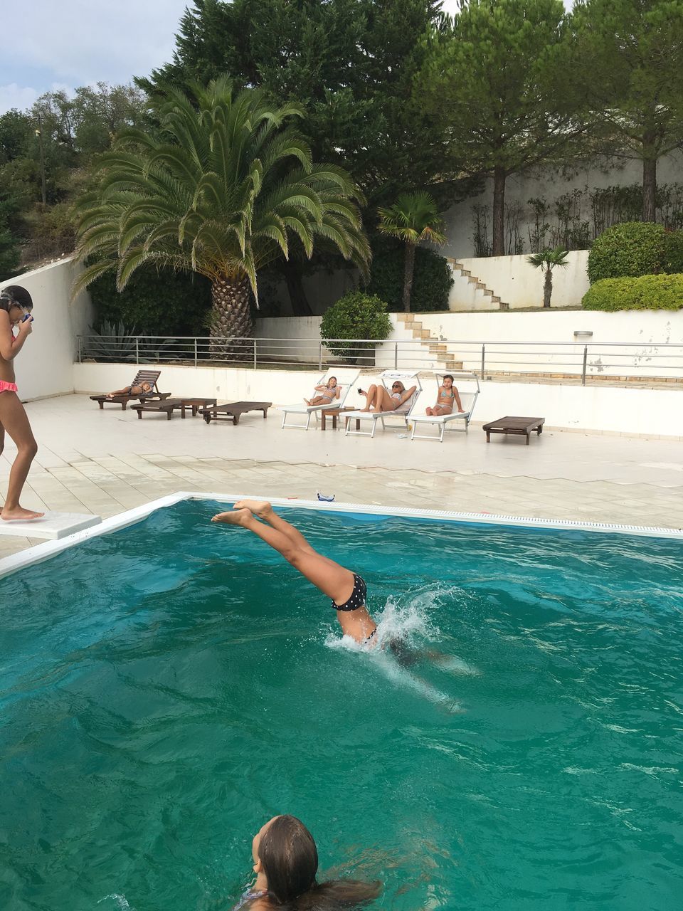 tree, water, swimming pool, poolside, growth, day, vacations, tranquil scene, nature, tranquility, summer, in front of, tourist resort, scenics, green color