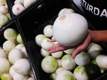 Close-up of hand holding vegetables