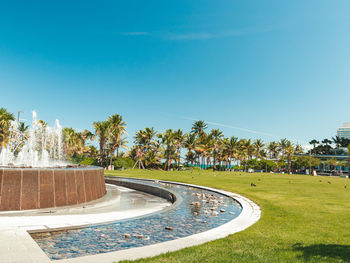 Puerto rico fountain park in condado beach. panorama with palm trees and blue sky in the background.