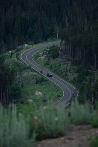 High angle view of road amidst trees