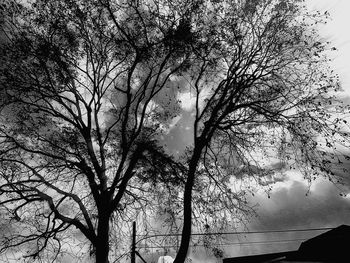 Low angle view of silhouette tree against sky
