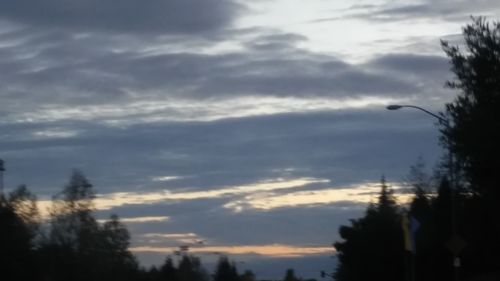 Silhouette of trees against cloudy sky