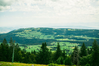 Scenic view of forest against sky