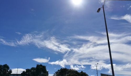 Low angle view of trees against sky