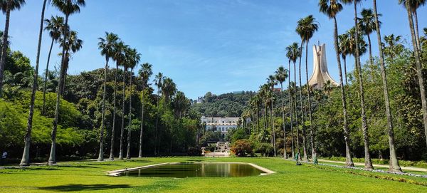 Trees and plants in park against sky