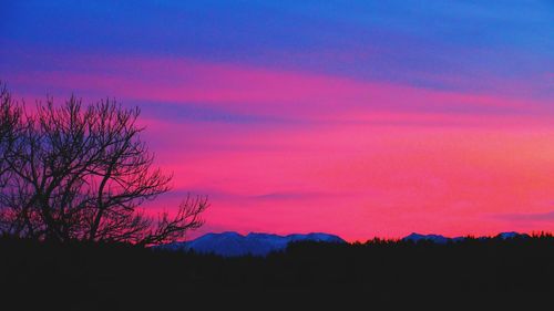 Silhouette trees against dramatic sky during sunset