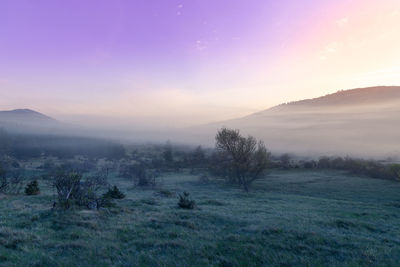 Scenic view of landscape against sky during sunset