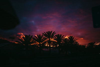 Silhouette palm trees against sky at night