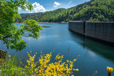 Scenic view of river against sky