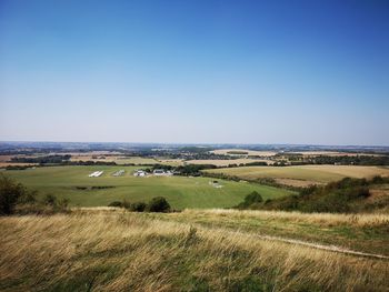 Scenic view of field against clear blue sky