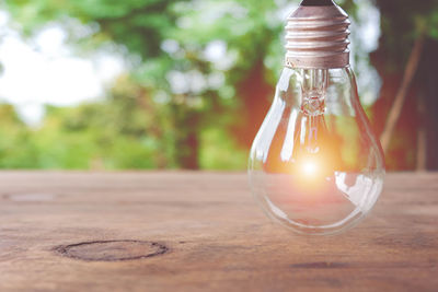 Close-up of light bulb on table