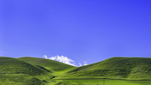 Scenic view of agricultural field against clear blue sky