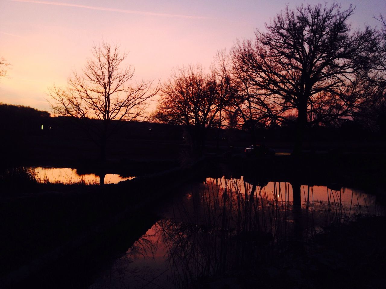 sunset, silhouette, bare tree, tree, water, reflection, tranquility, tranquil scene, lake, scenics, sky, beauty in nature, river, nature, orange color, sun, branch, idyllic, dusk, landscape