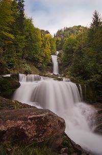 View of waterfall in forest