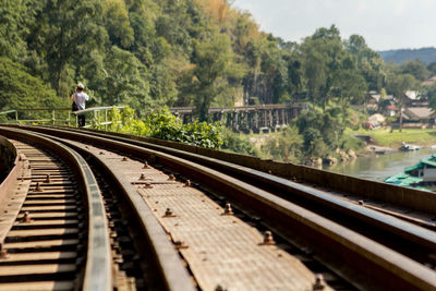 Train on railroad tracks amidst trees